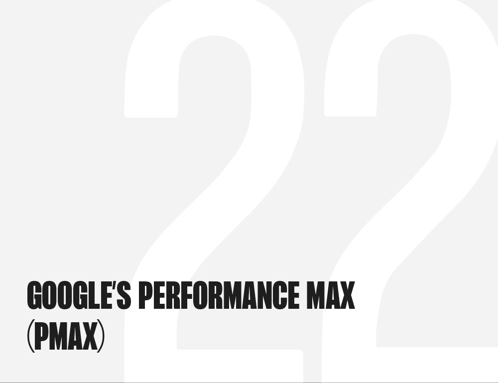 Google’s Performance Max (PMax)